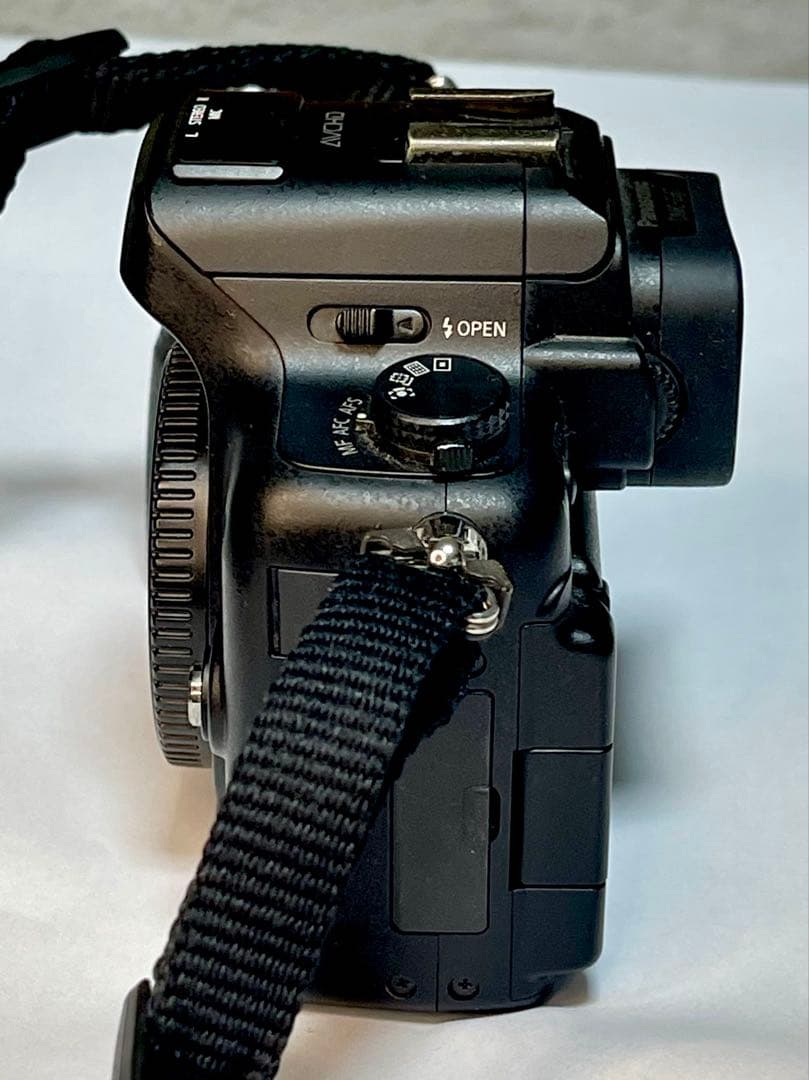 【動画の名機】Panasonic LUMIX DMC-GH2 ボディ