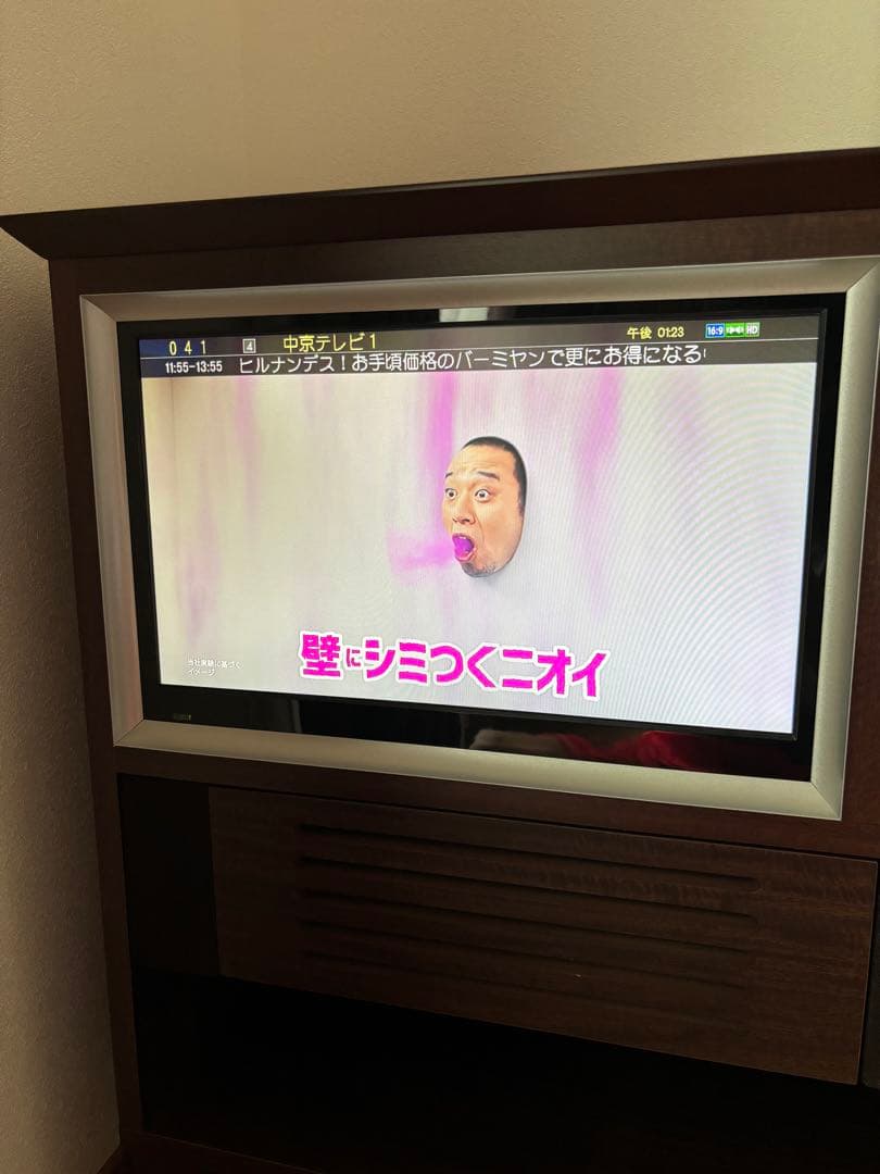 岐阜県飛騨家具　昭和レトロ風　液晶テレビ　EREO19インチ