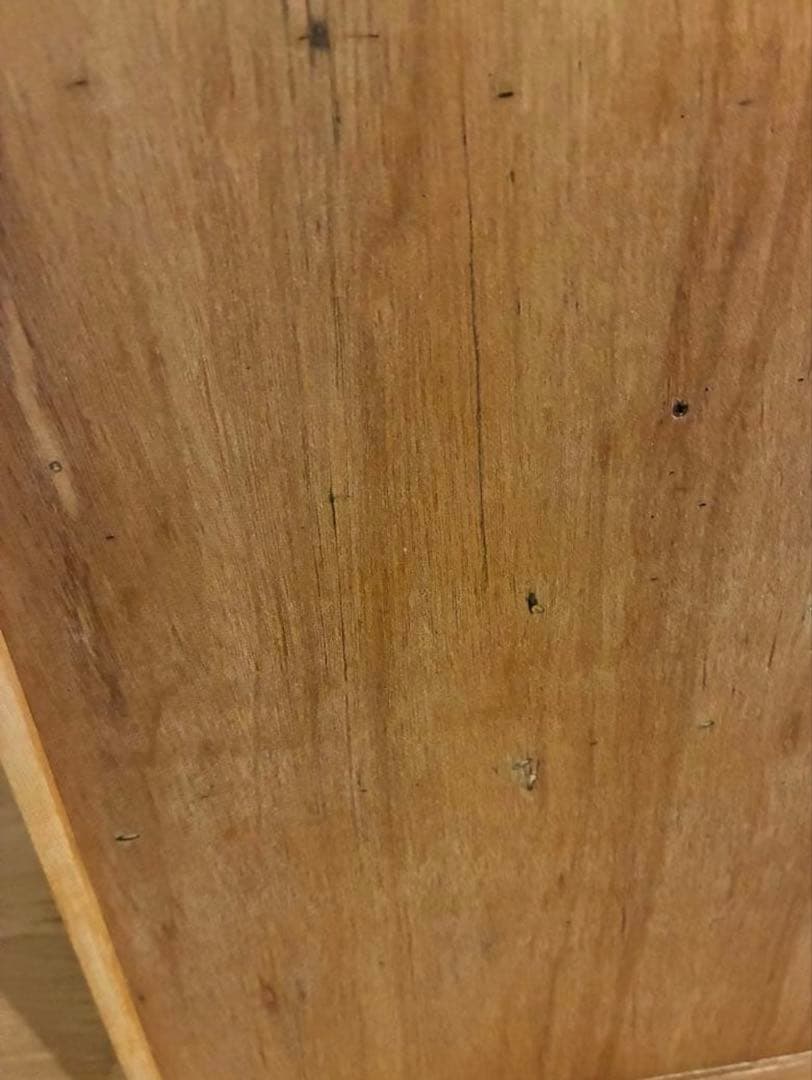 松太郎定価12万 graf × scope / messy メッシー