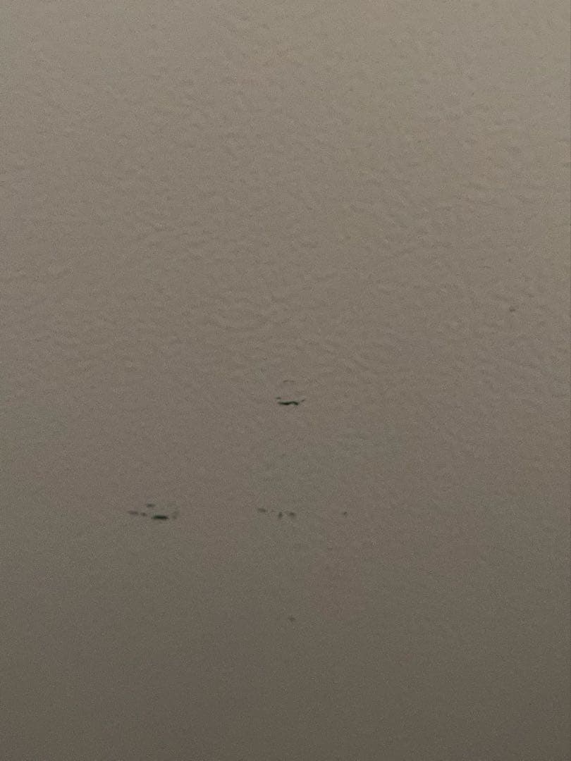 ALLEGIA 冷凍庫 2023年製【中古】