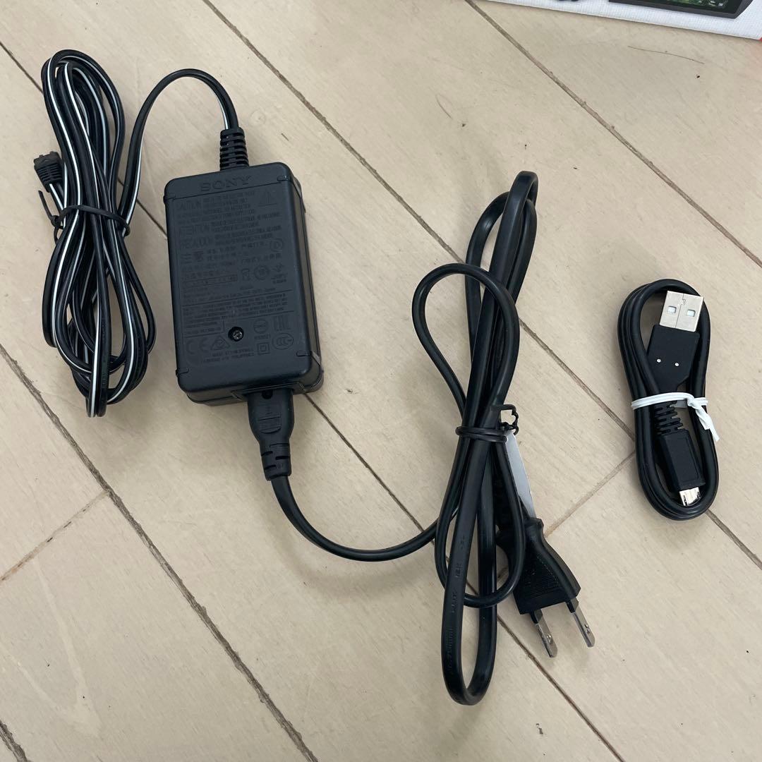 SONY FDR-AX60 4Kビデオカメラ 本体