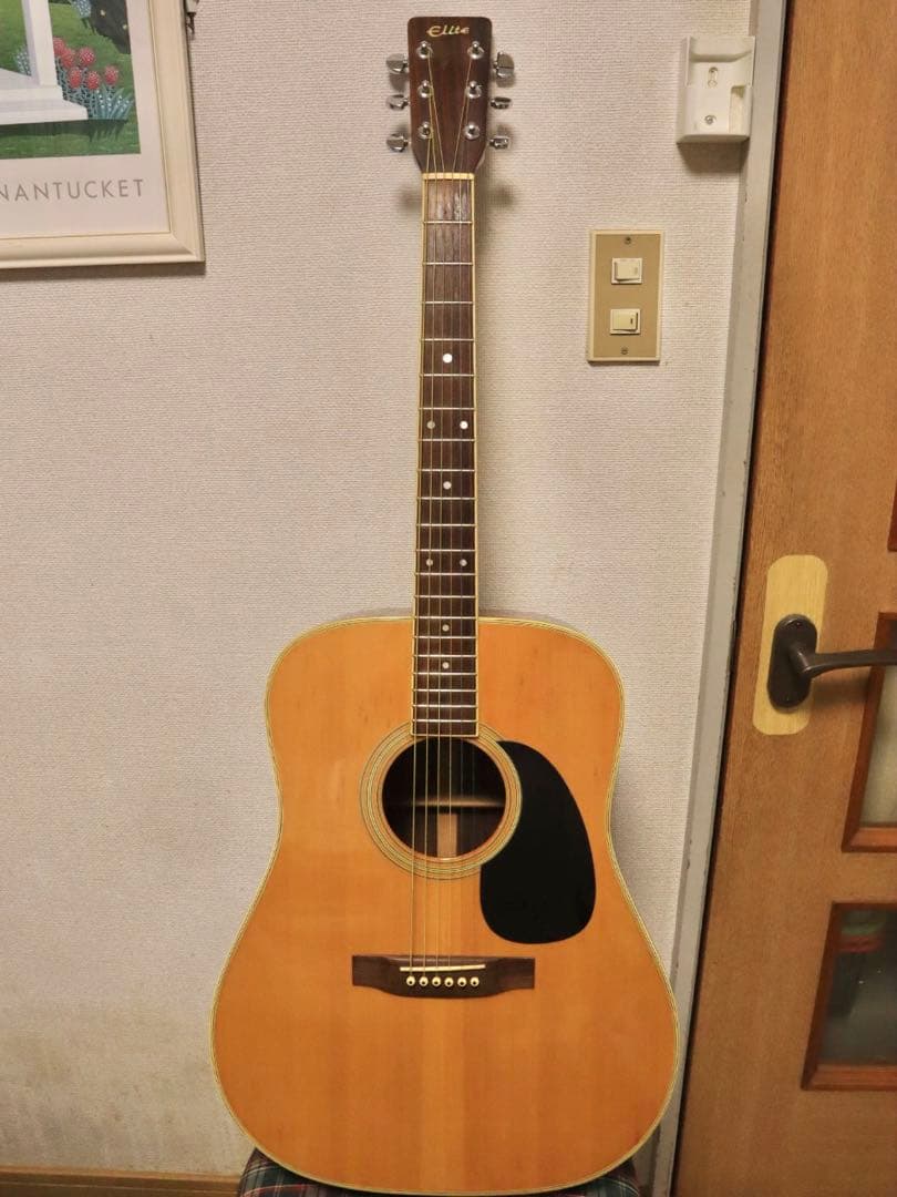 Elite Takamine TW-25 アコースティックギター