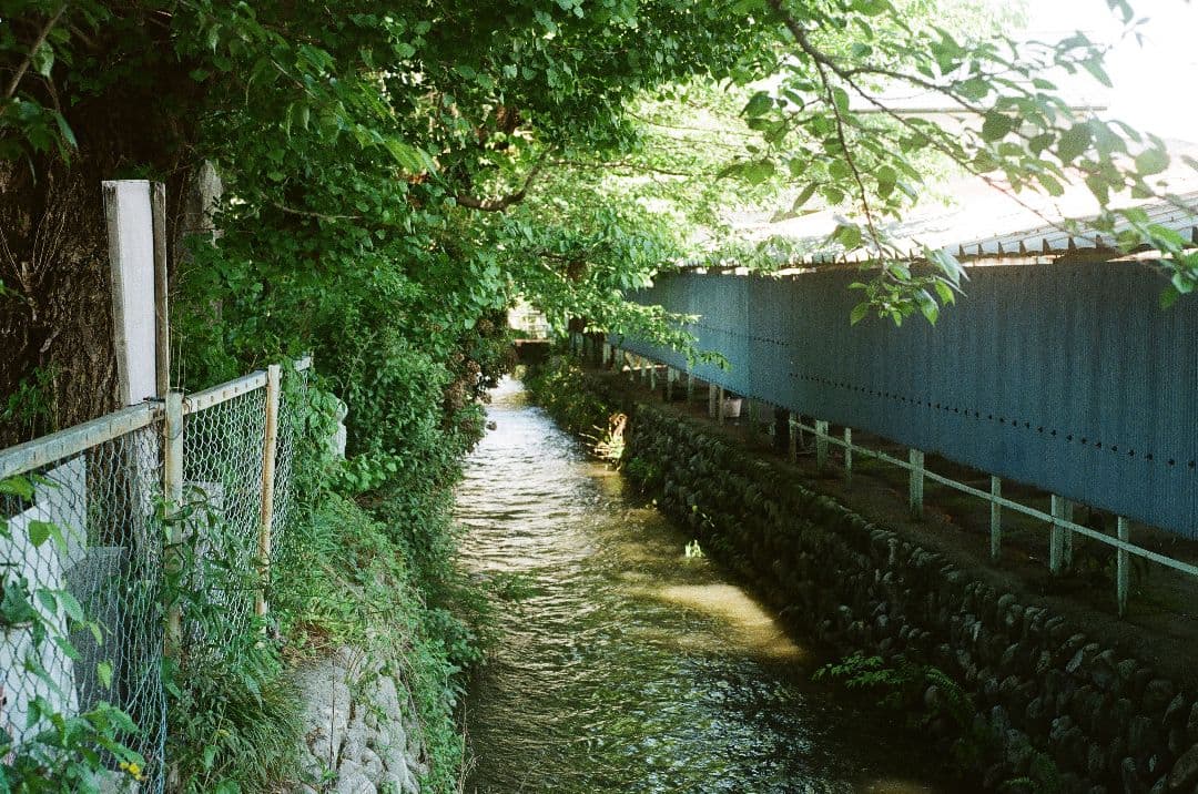 MAMIYA ZM Quartz　フルセット