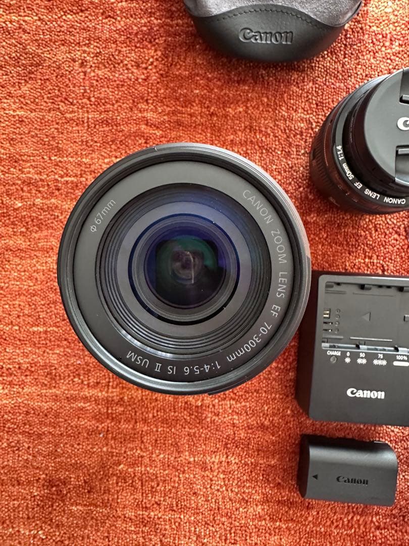 Canon EOS 6D 単焦点レンズ50mm、望遠レンズ70-300mm 付き