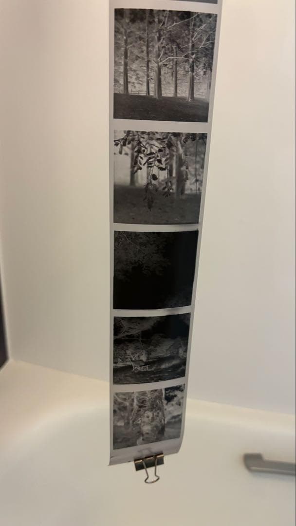 【作例あり】動作品　Minolta Autocord　二眼レフ