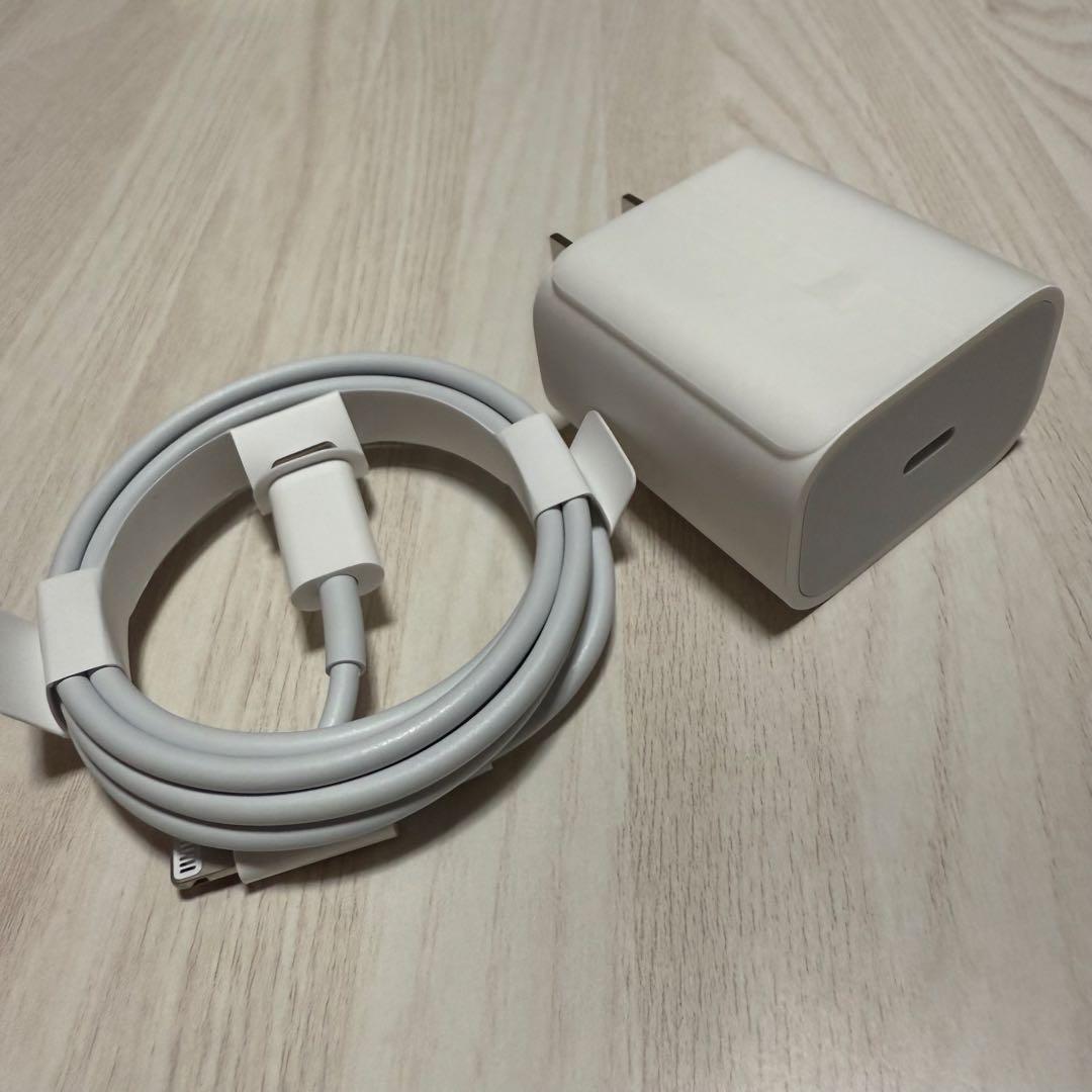 iPad 第9世代 スペースグレー 62GB