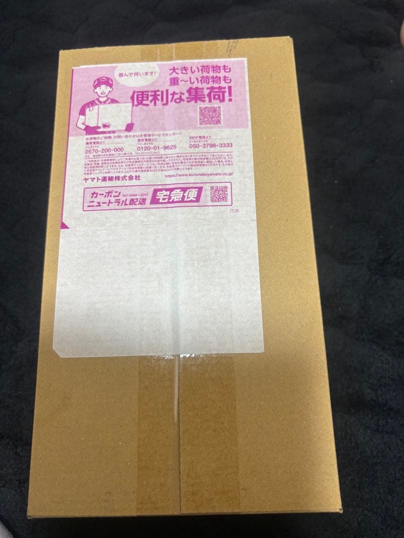 ポケモンカードヒロシマスペシャルbox