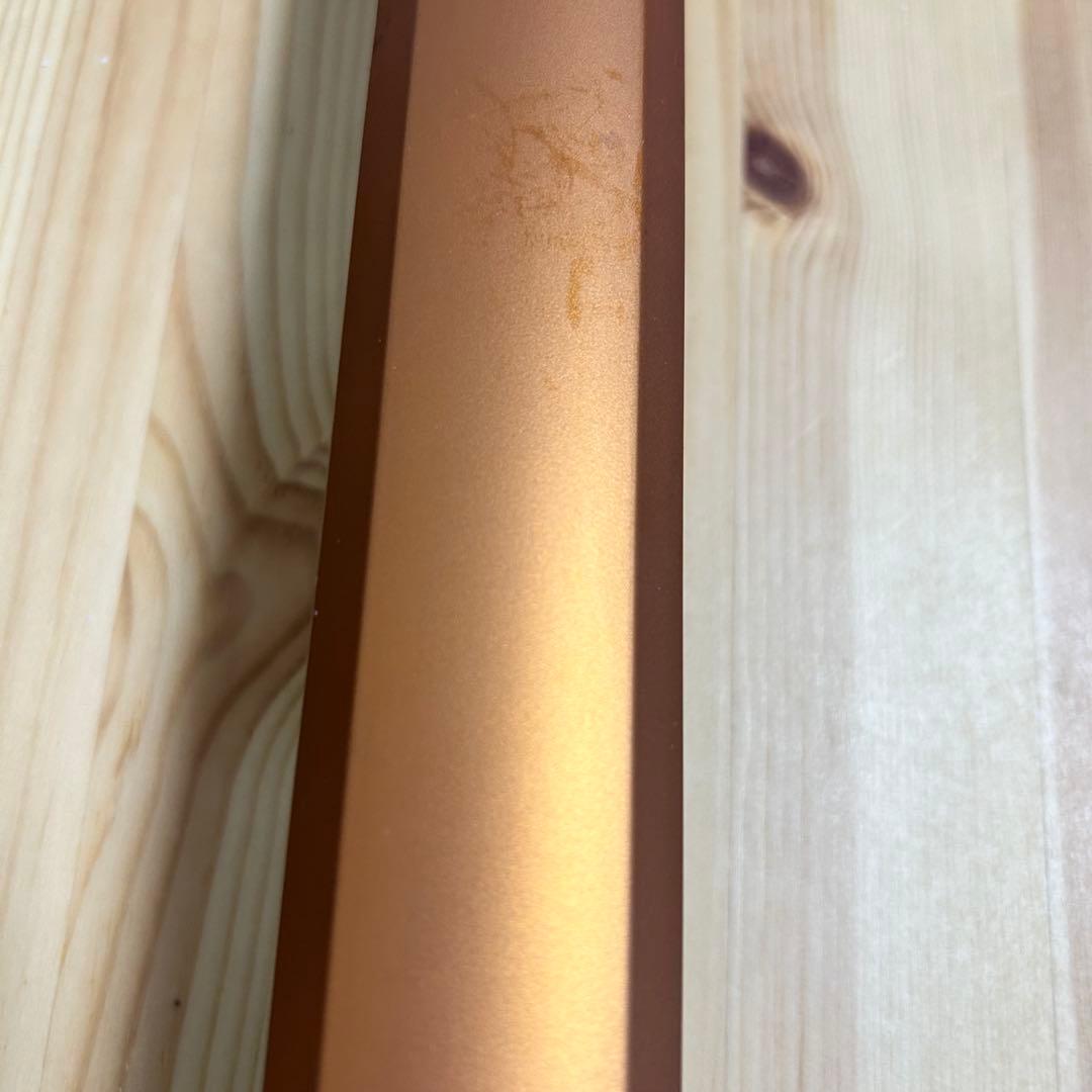 Shark CS651JNZORスティッククリーナー本体☆キャメル☆上位モデル