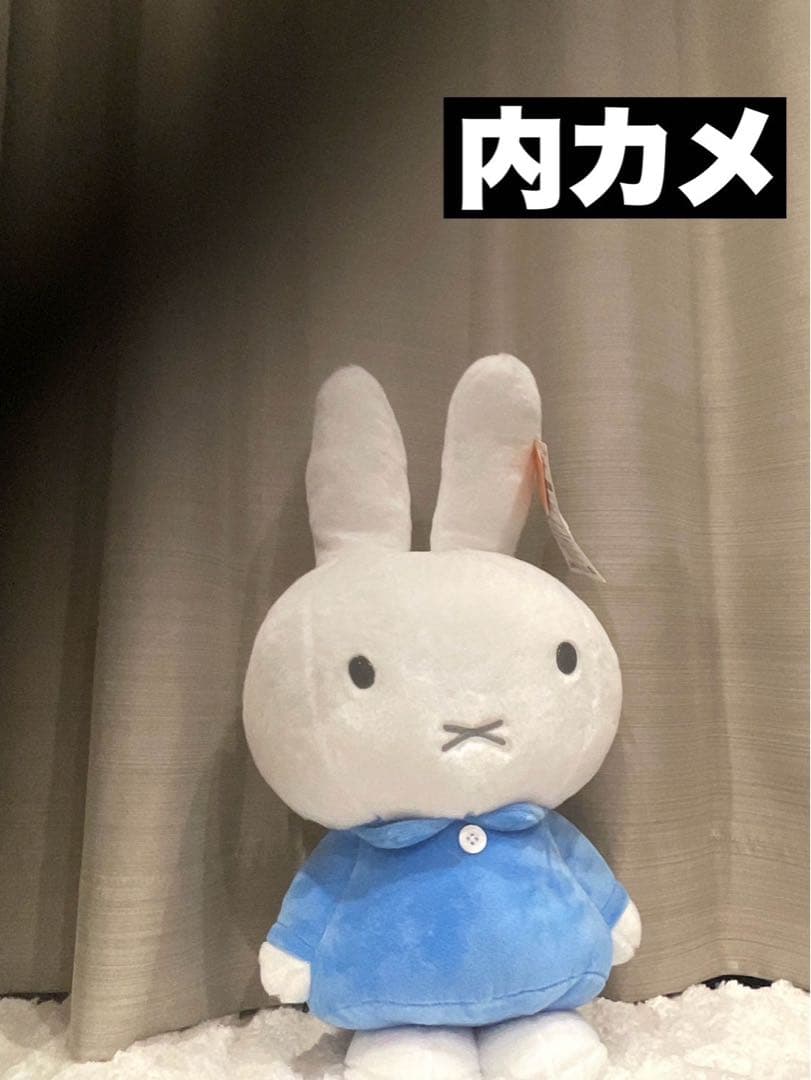 Apple iPad Pro 第３世代　256GB