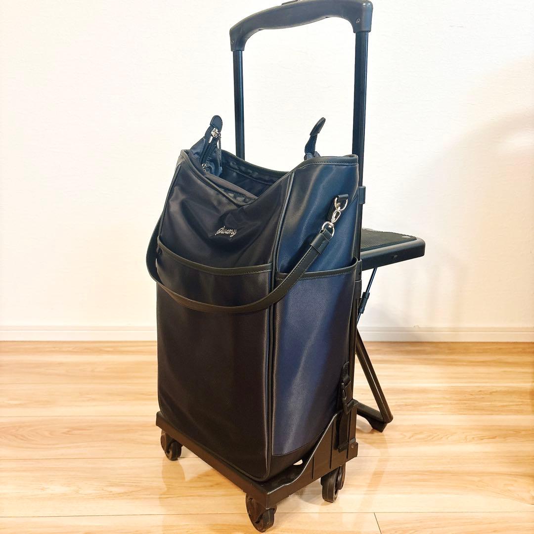 ✨極美品✨ スワニー D-202 ミルダ Mサイズ 19L 座れるキャリーバッグ