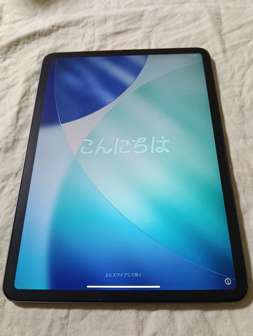 iPad Pro11インチ 第1世代 バッテリー87%