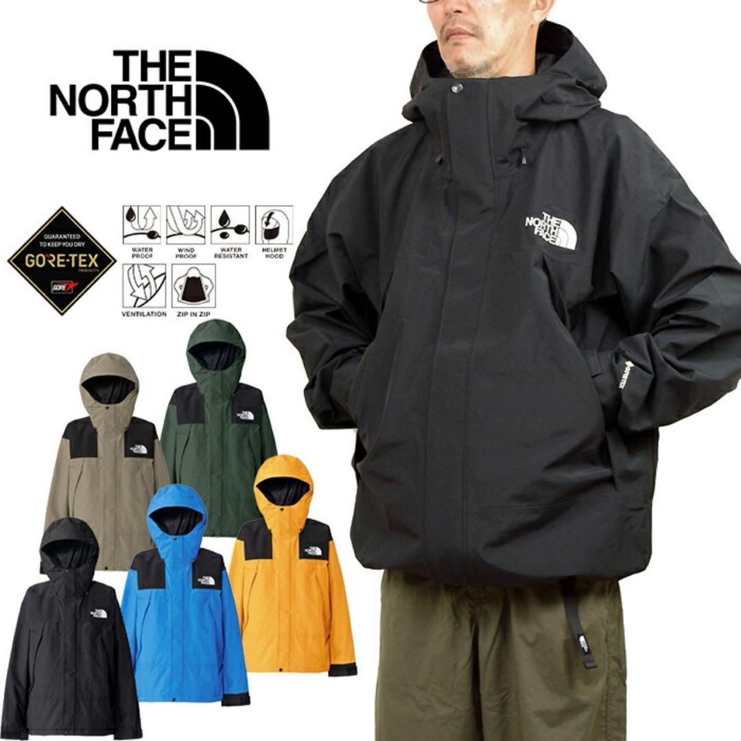 THE NORTH FACE NP62510 マウンテンパーカー ゴアテックス
