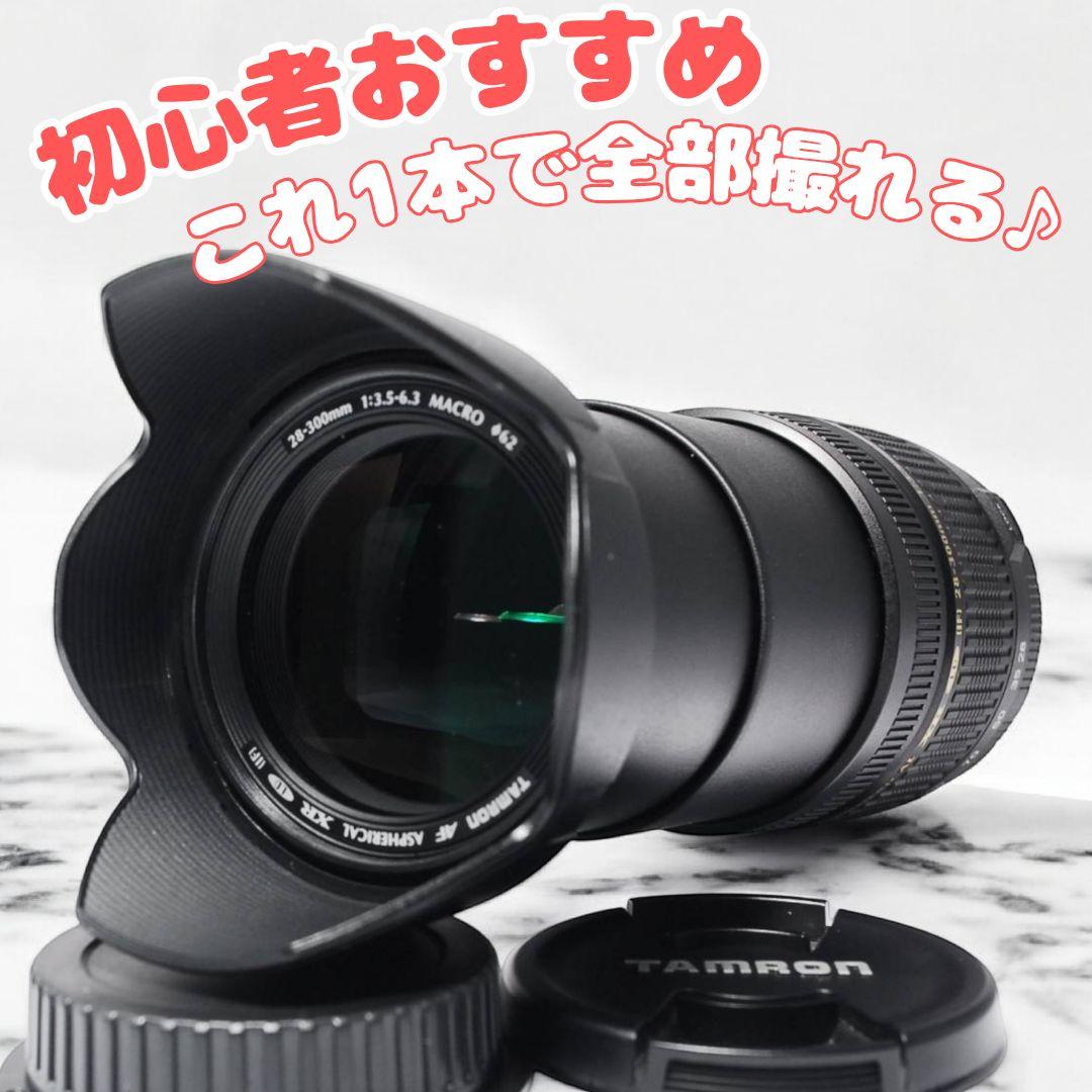 ♥レンズ交換不要♥超高倍率レンズ★タムロン TAMRON AF 28-300mm