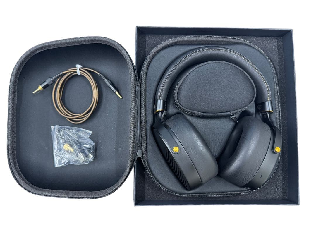 AVIOT WA-Z1PNK ピエール中野コラボモデル ピッドホン