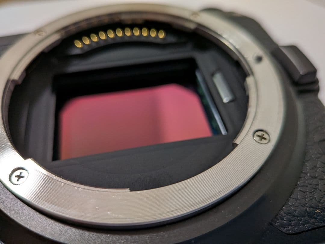 Nikon Z6（本体）＆XQDカード（64GB）＆カードリーダー付き☆