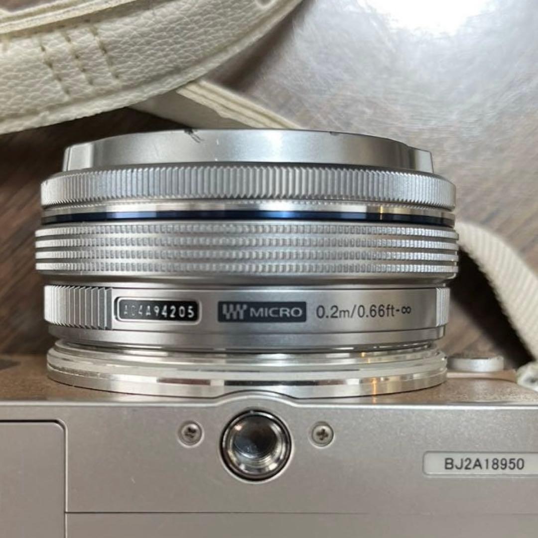 Olympus E-PL9 ミラーレス一眼カメラ レンズ2個、ケース付き