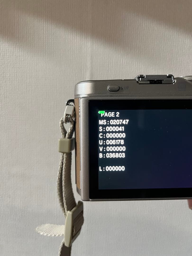 Olympus E-PL9 ミラーレス一眼カメラ レンズ2個、ケース付き