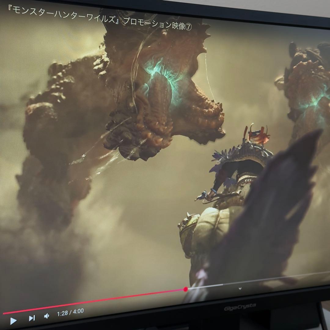 ディスプレイ・モニター本体 I-O DATA GigaCrysta 24.5 EX-LDGC252STB