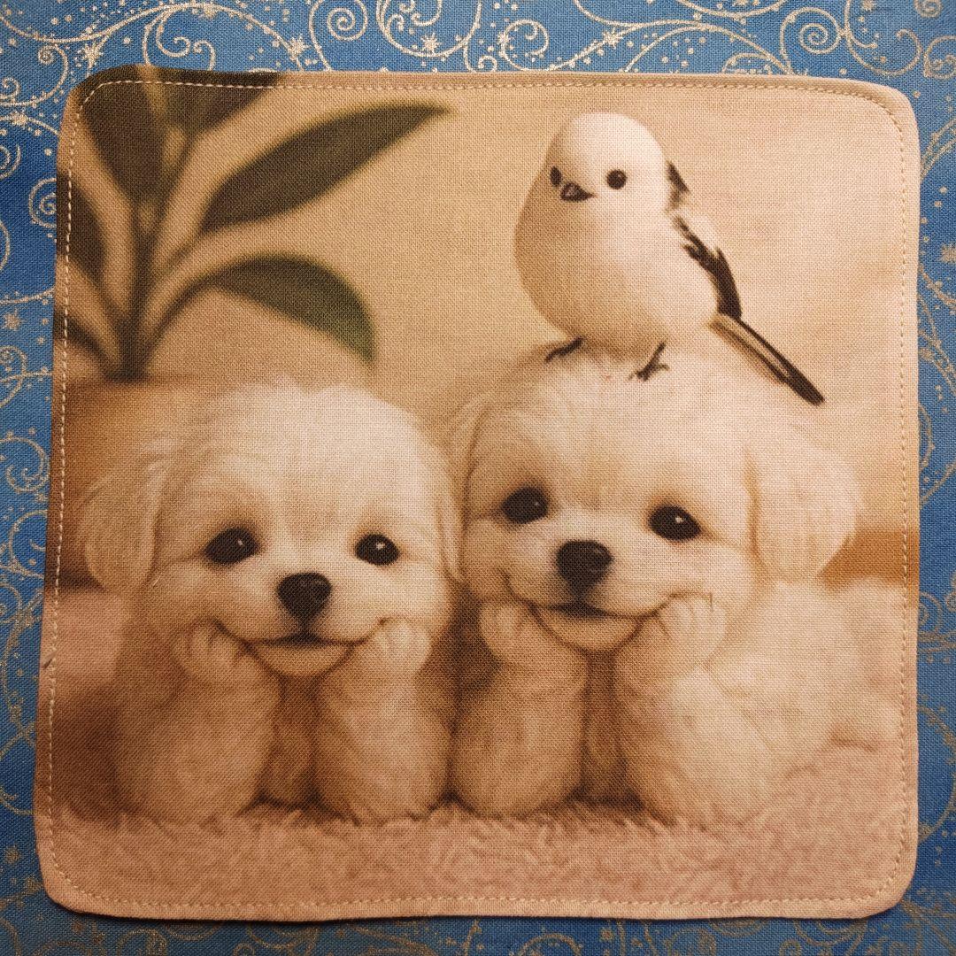 りあ　ハンカチ12枚 パネル22枚　マルチーズちゃん柄　34枚