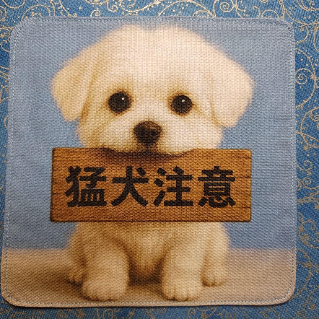 りあ　ハンカチ12枚 パネル22枚　マルチーズちゃん柄　34枚