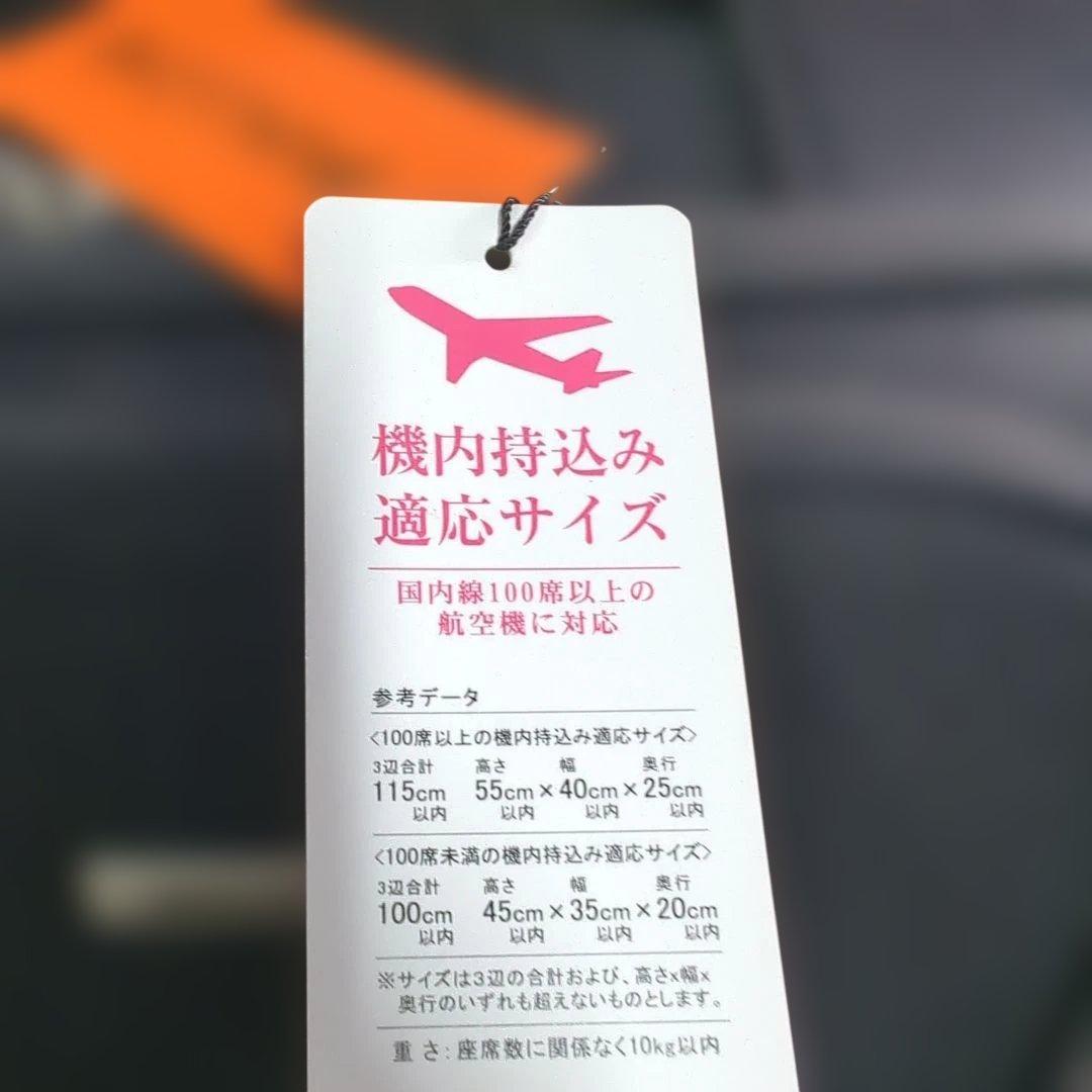 【新品未使用】ACE アバロンスーツケース 黒