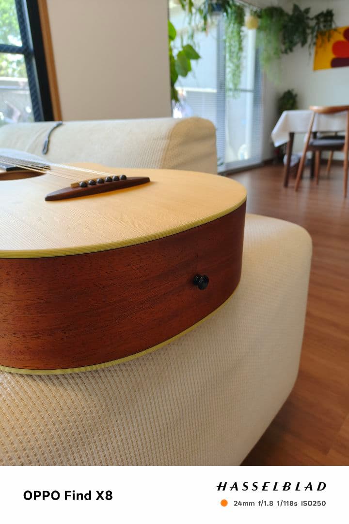 アヌエヌエ aNueNue Bird Guitar aNN-M1