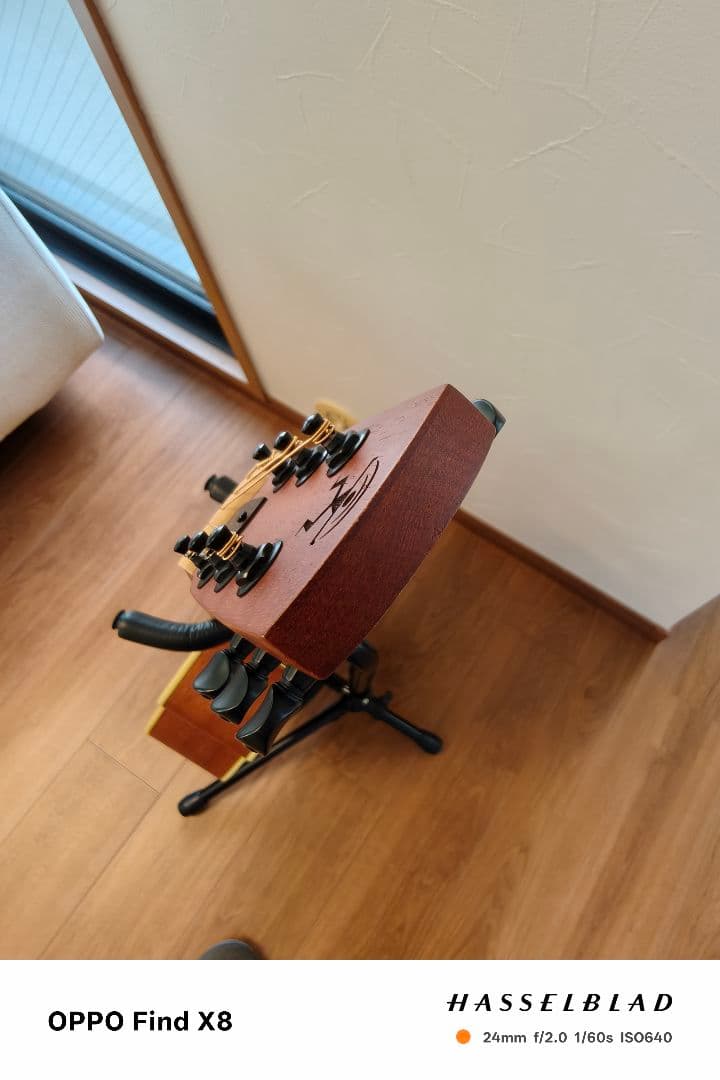 アヌエヌエ aNueNue Bird Guitar aNN-M1