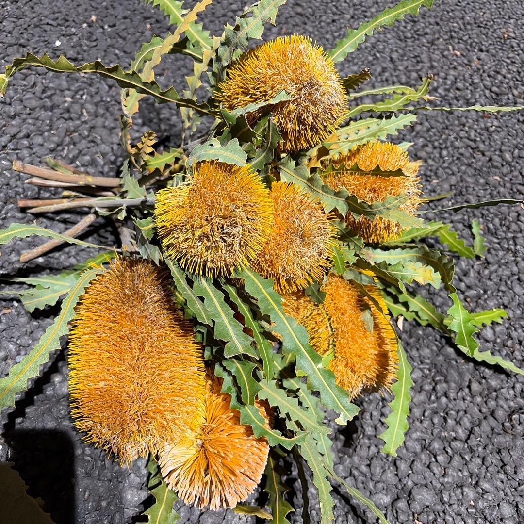 ぬー様 リクエスト 3点 まとめ商品