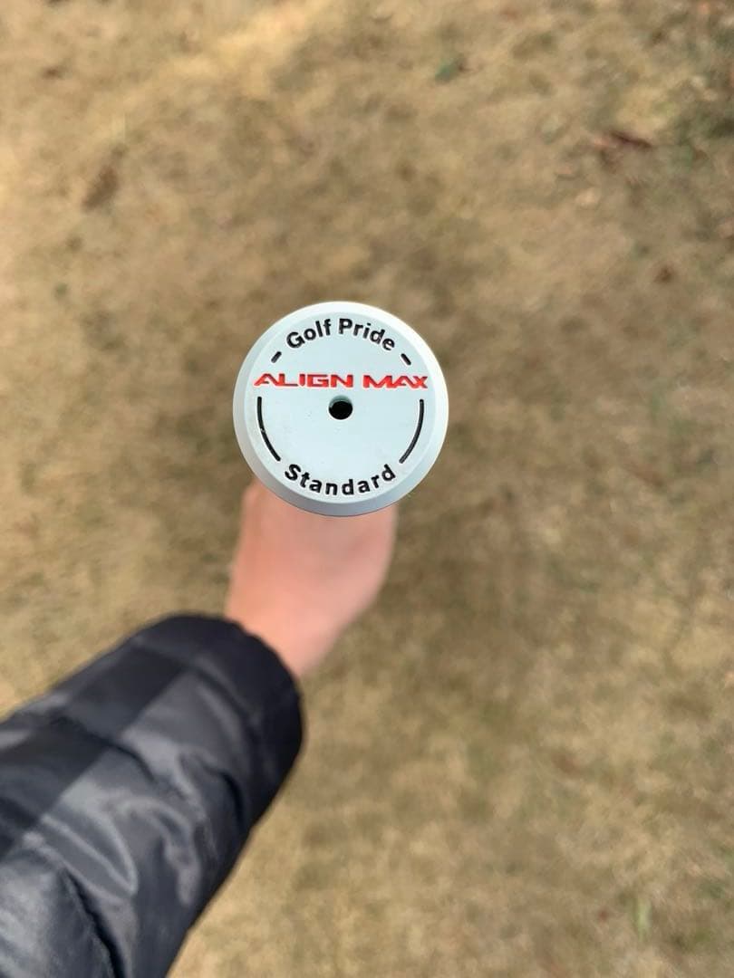 ブリヂストン 242CB+ 4番アイアン単品 モーダス120 特注品