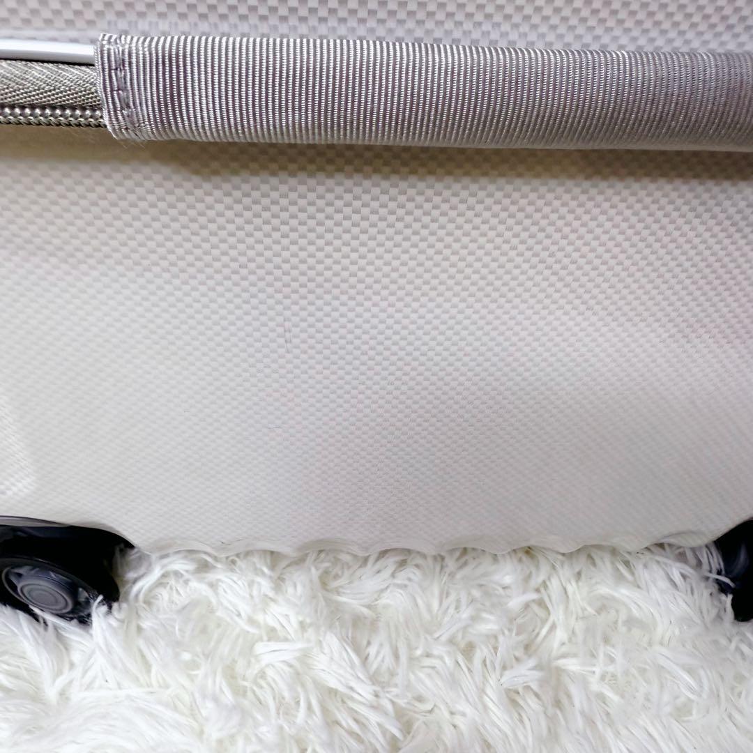 ace. スーツケース パリセイド　35L ホワイトカーボン　TSAロック