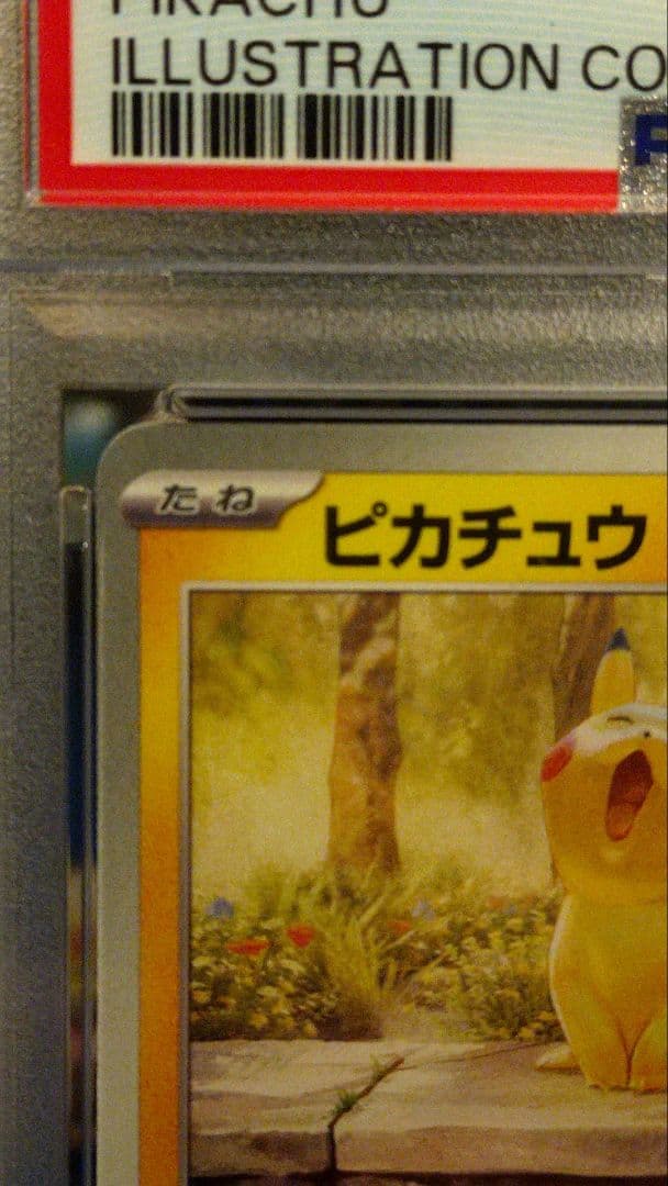 PSA10 ピカチュウ：イラストレーションコンテスト 2024 PROMO