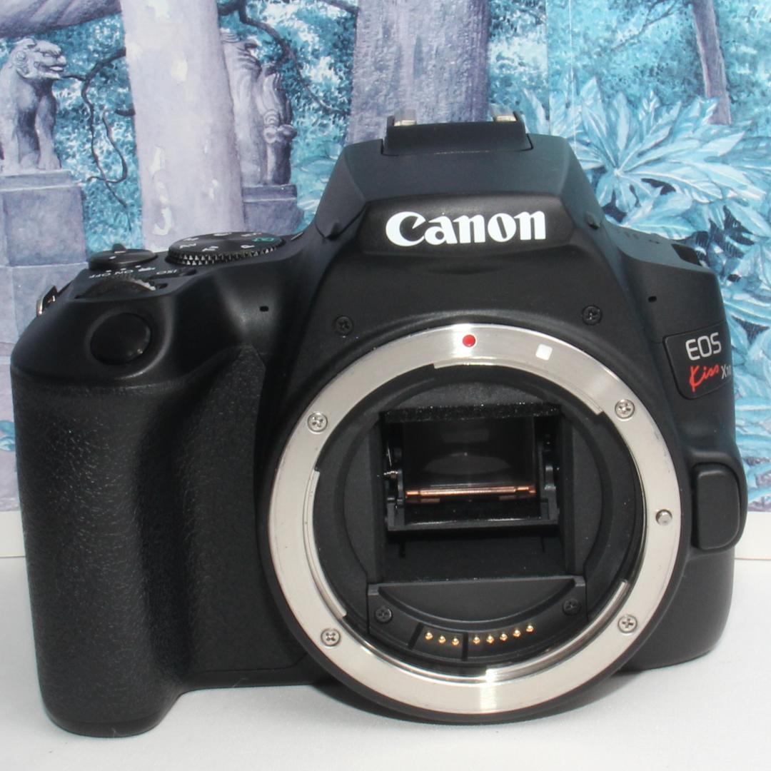☆扱い易い多機能な一眼レフ機☆キャノン kiss X10 トリプルレンズ☆