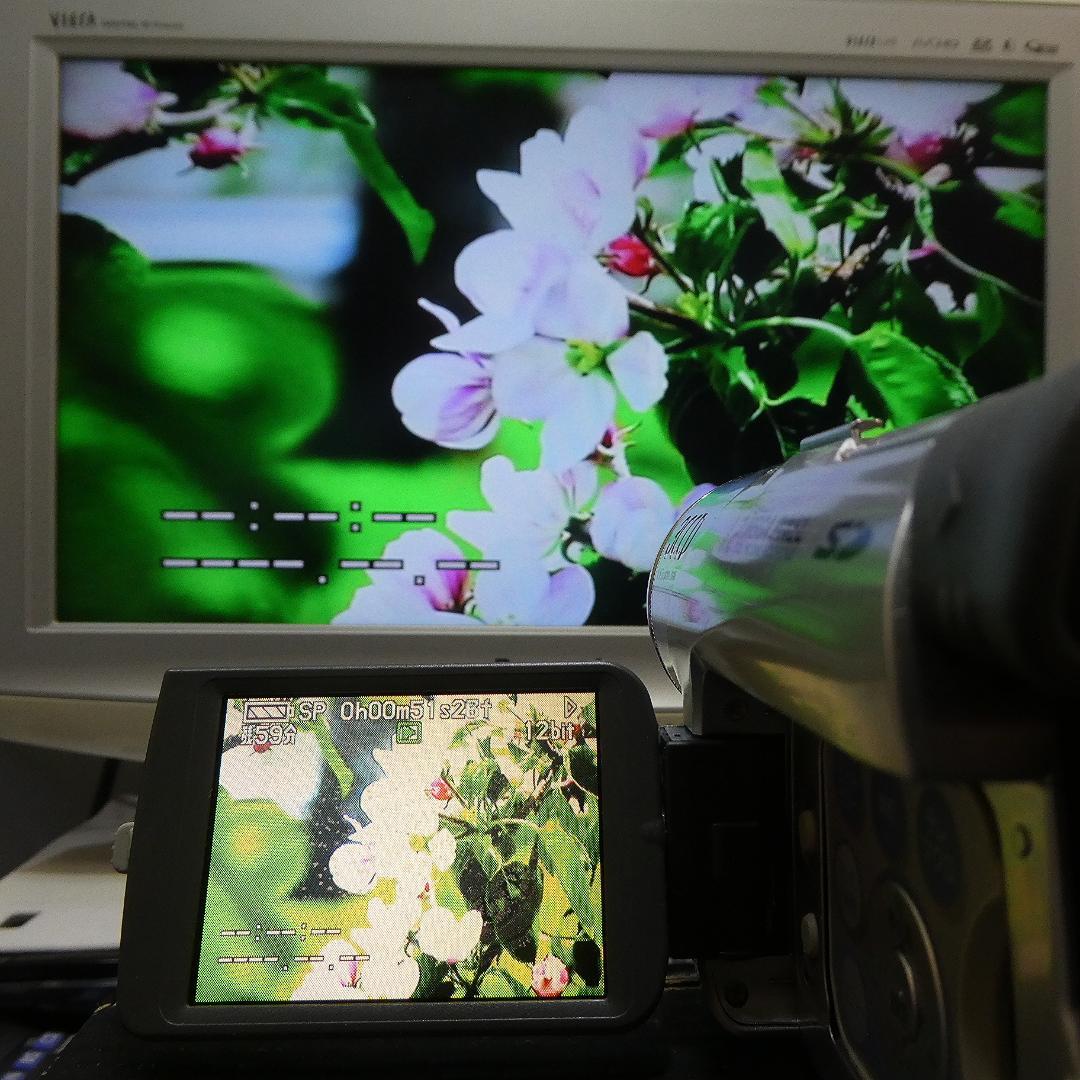 動作良好 パナソニック NV-GS120 MiniDVビデオカメラDVD化に最適