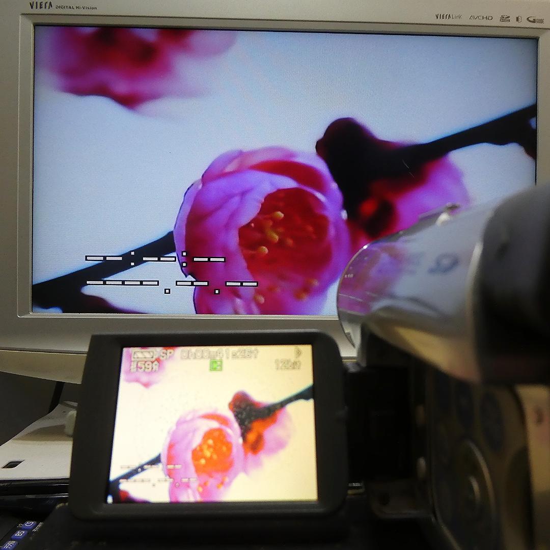 動作良好 パナソニック NV-GS120 MiniDVビデオカメラDVD化に最適