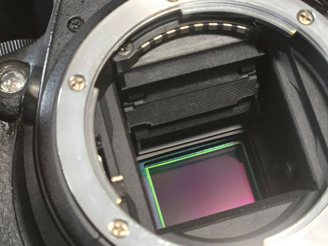 Nikon デジタル一眼レフカメラ D5500ボディ