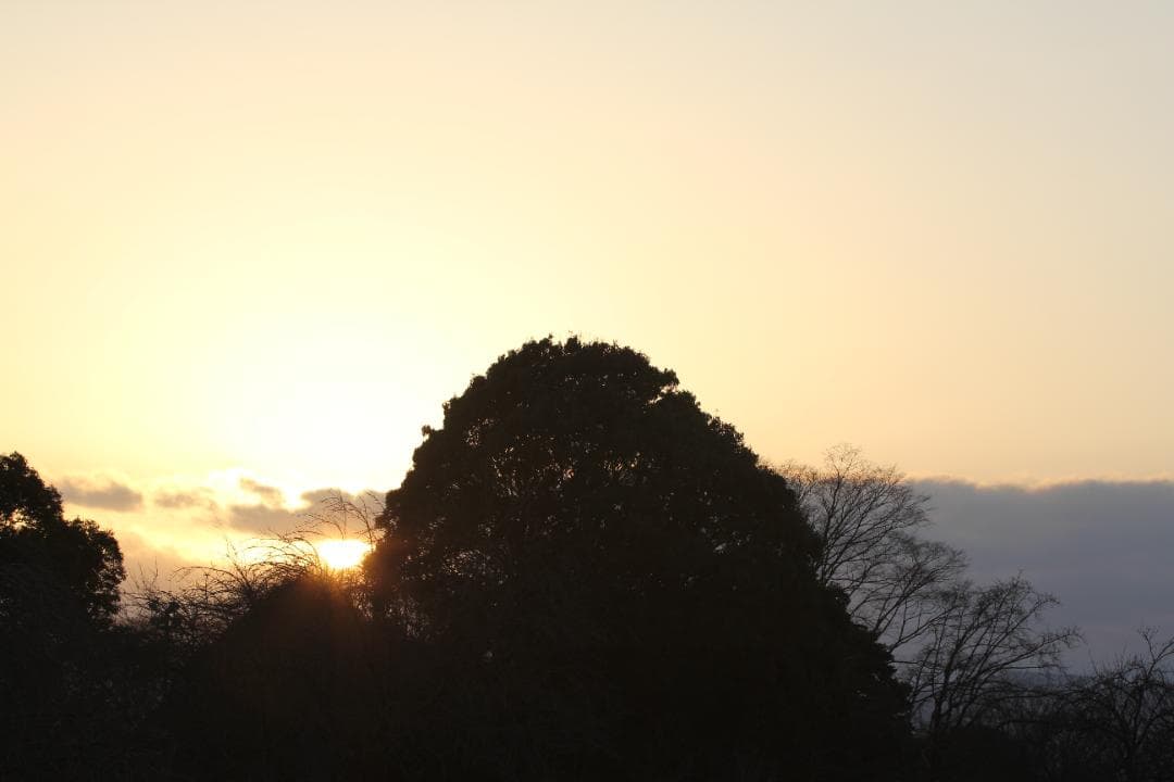 【ケース付き】Canon EF 70-200mm F2.8 L USM