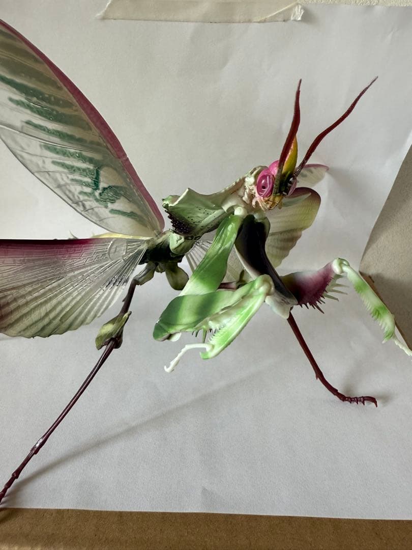 シ*ン様 いきもの大図鑑アドバンス　ニセハナマオウカマキリコンプリート