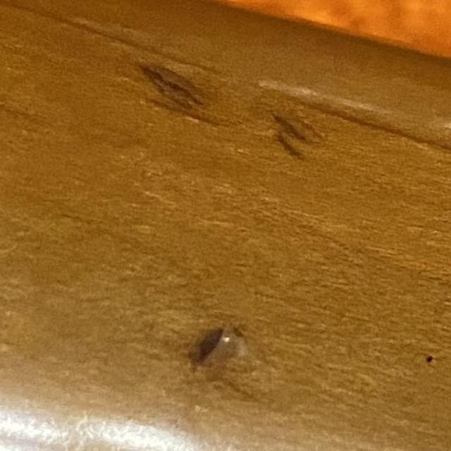 Fender Japan ストラトキャスター　ST-62　Eシリアル