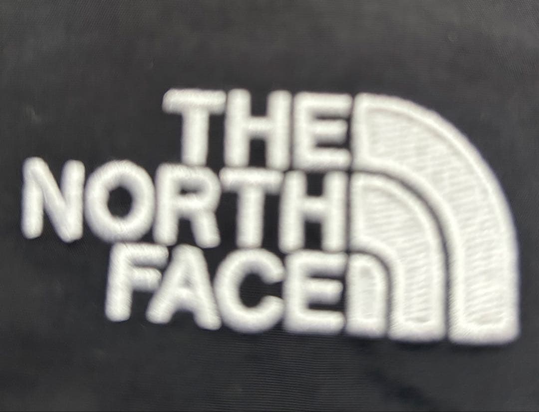 【レディースMサイズ】ノースフェイス アークティック ロングダウンジャケット