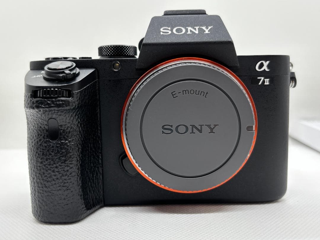 【美品！ショット数：8,373枚】ソニー SONY α7 Ⅱ