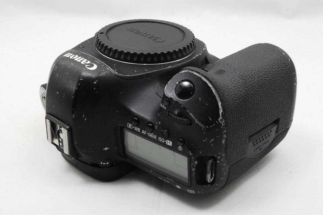 キャノン EOS 5D Mark Ⅲ &バッテリーグリップ BG-E11 463