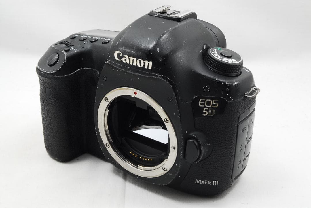キャノン EOS 5D Mark Ⅲ &バッテリーグリップ BG-E11 463