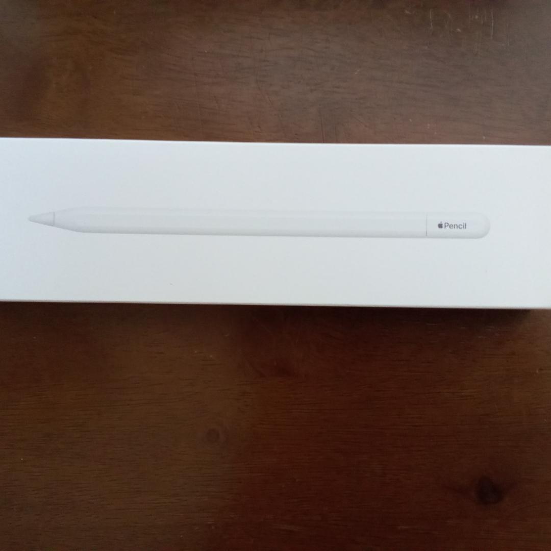 【Roa @プロフ必見】Apple Pencil（USBーC）