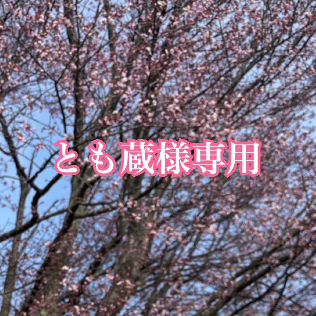 専用　ヴィンテージネックレス　チベット　シルバーカラー