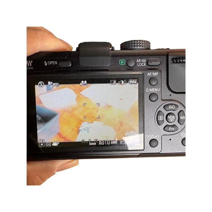 【美品】Panasonic LUMIX DMC-GF1 ブラック