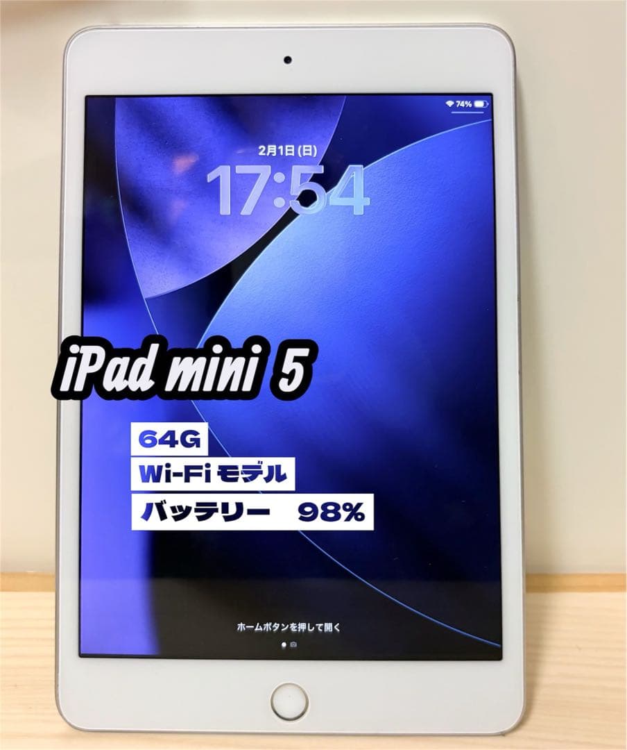 iPad mini 5 (第5世代) 64g 美品