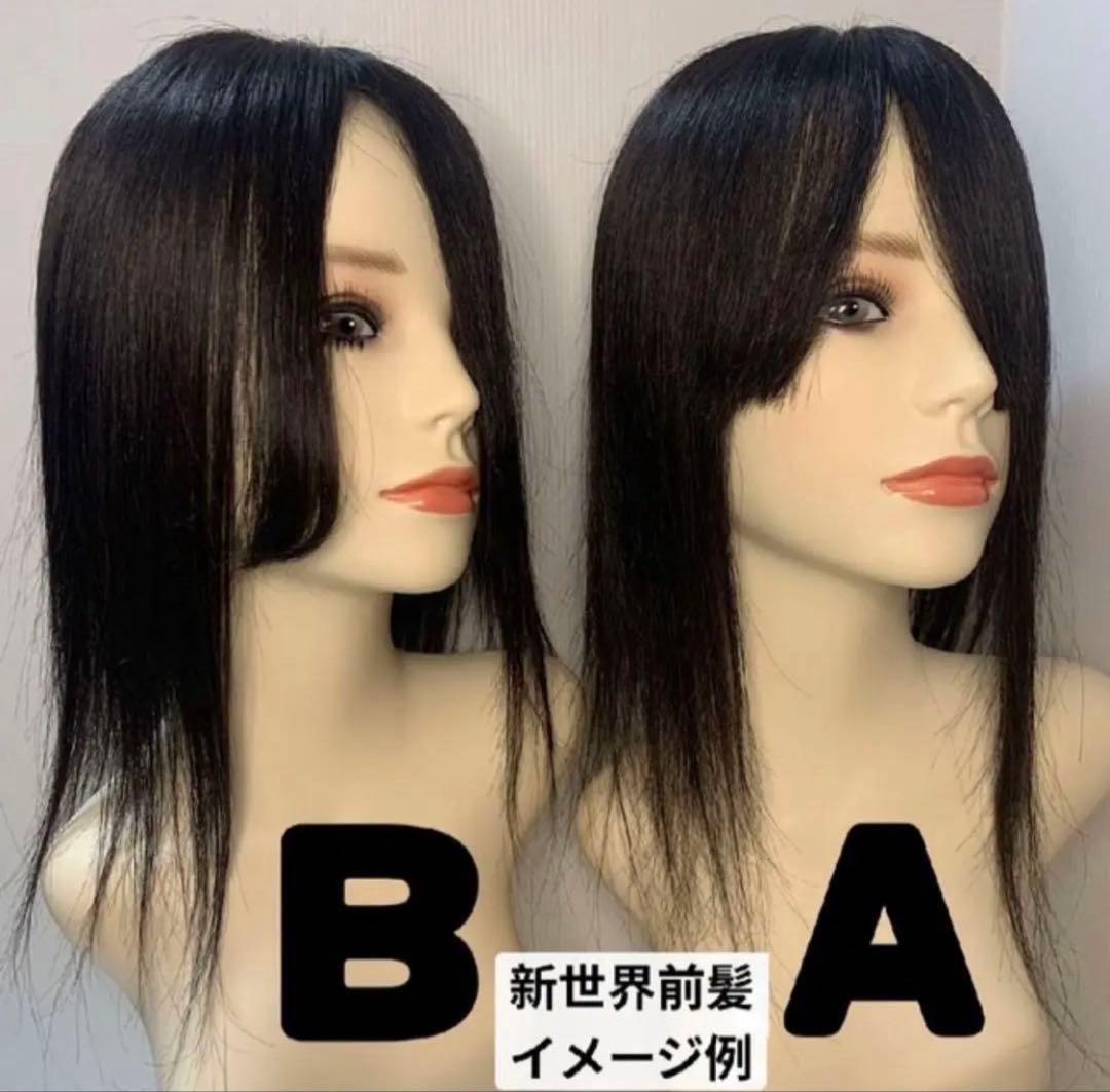真2025新世界　人毛100%ウィッグ　フルウィッグ　シルクスキン　医療ウィッグ