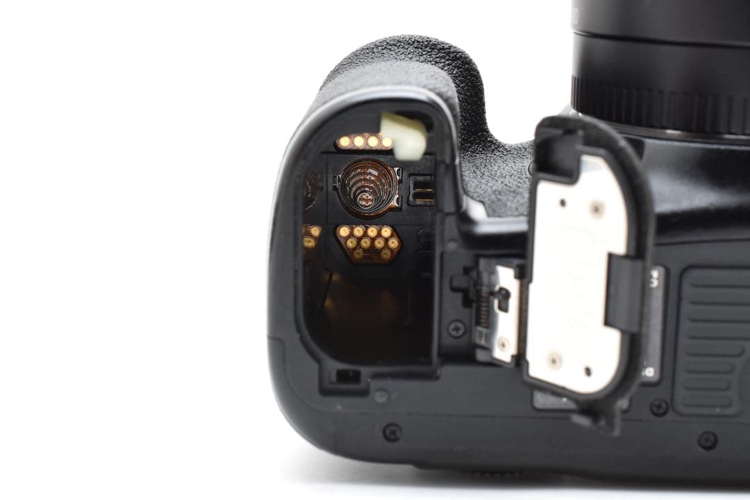 Canon EOS 7D MarkⅡ /EF 75-300mm F4-5.6II