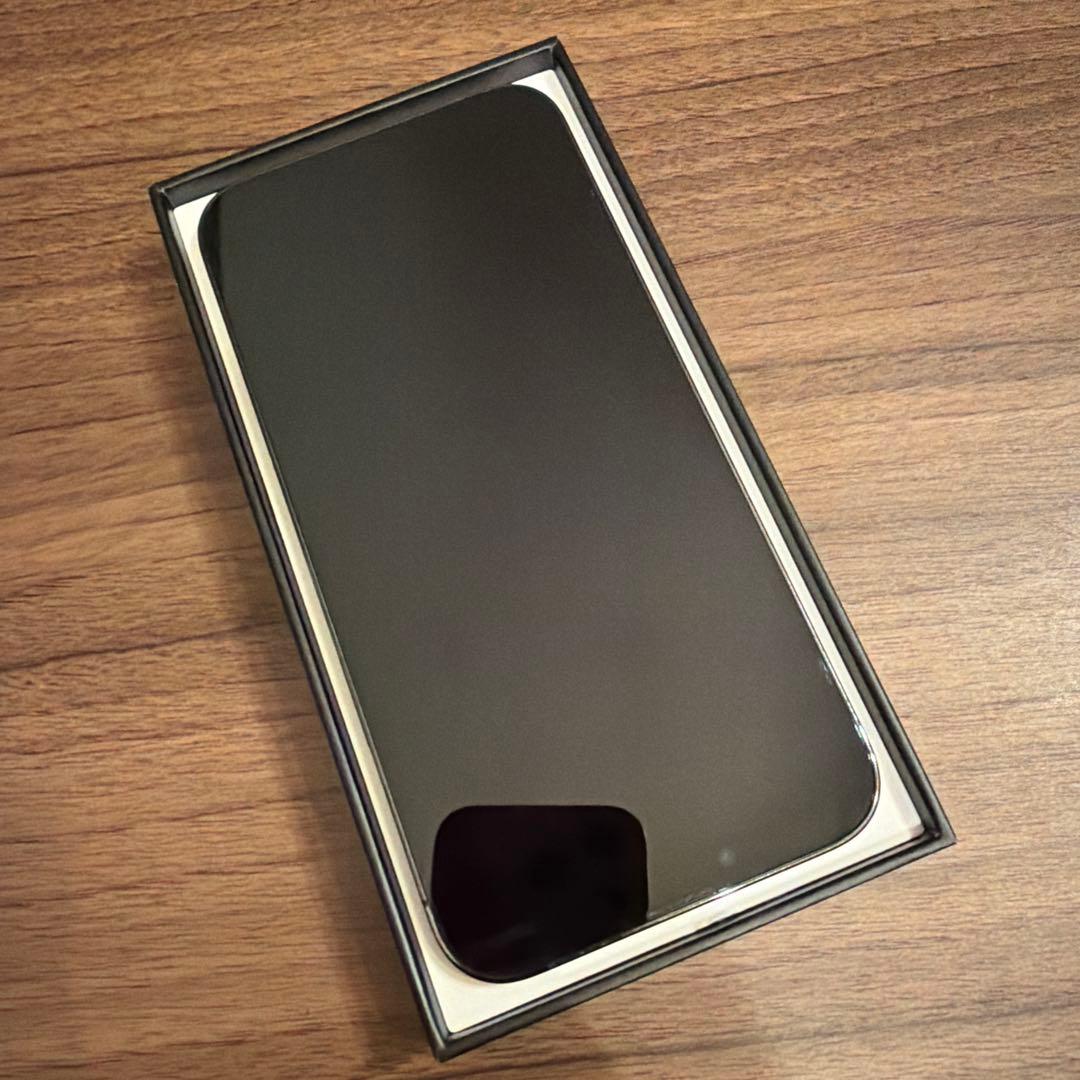 Apple iPhone 13Pro max 本体のみ