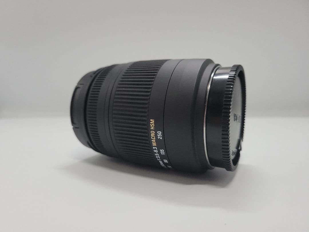 SIGMA 18-250mm 3.5-6.3 DC OS HSM SONY用